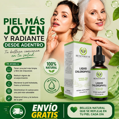 CLOROFILA BENEVOLENT X 60 ML