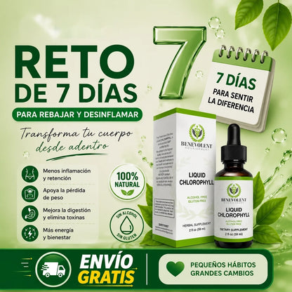 CLOROFILA BENEVOLENT X 60 ML